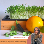 Microgreen Kit Featured By Beryl Shereshewsky