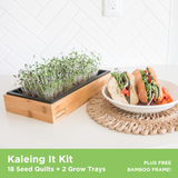Microgreen Kit Featured By Beryl Shereshewsky